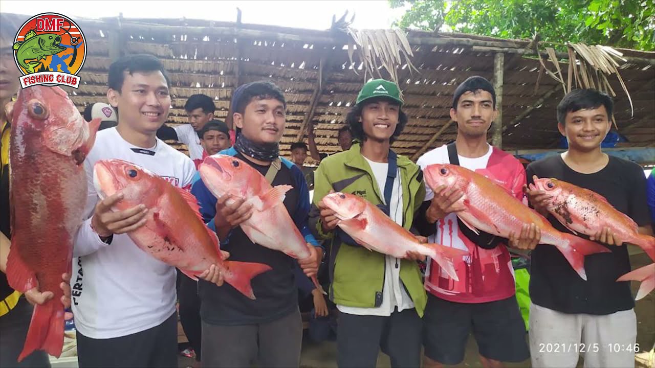 DMF Fishing Club: Ketemu Sarang Ikan Ruby Snapper Auto Juara Tournament