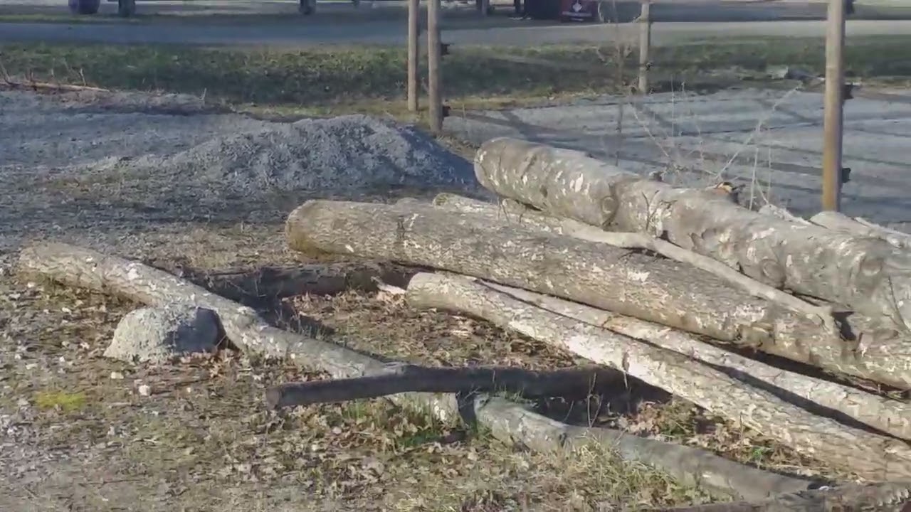 RIDING school for (Horses)