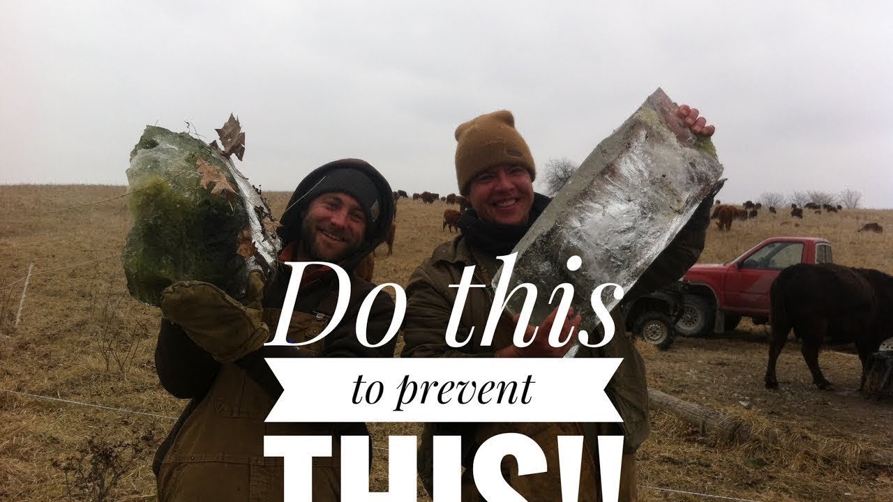 If you want to prevent livestock water from freezing, DO THIS!