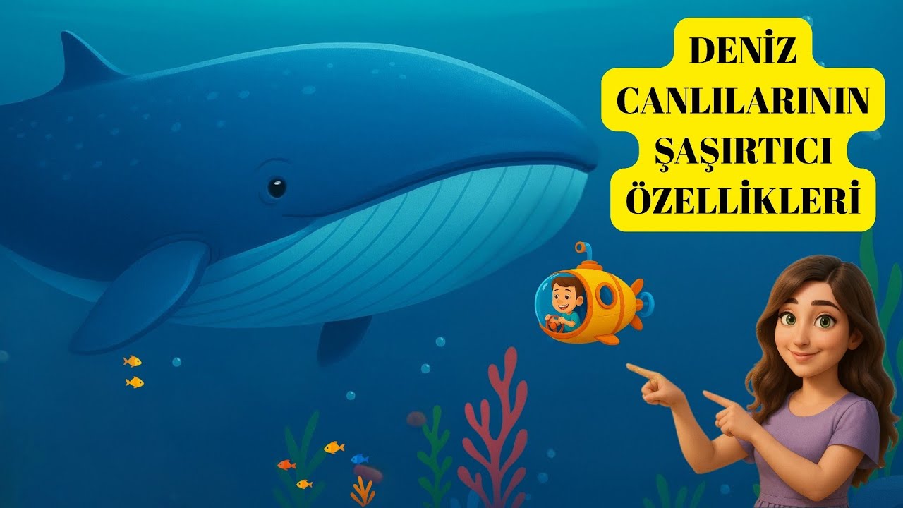 Mavi Baloncuk | Okul Öncesi Eğitici Çocuk Şarkısı | Deniz Canlılarıyla Tanışalım
