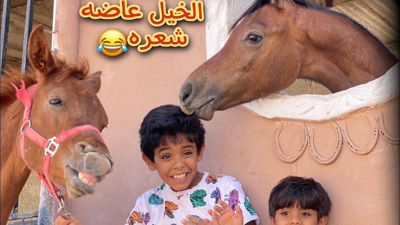 تحدي إلتقاط الفلوس والخيل فاتحه😍🐎