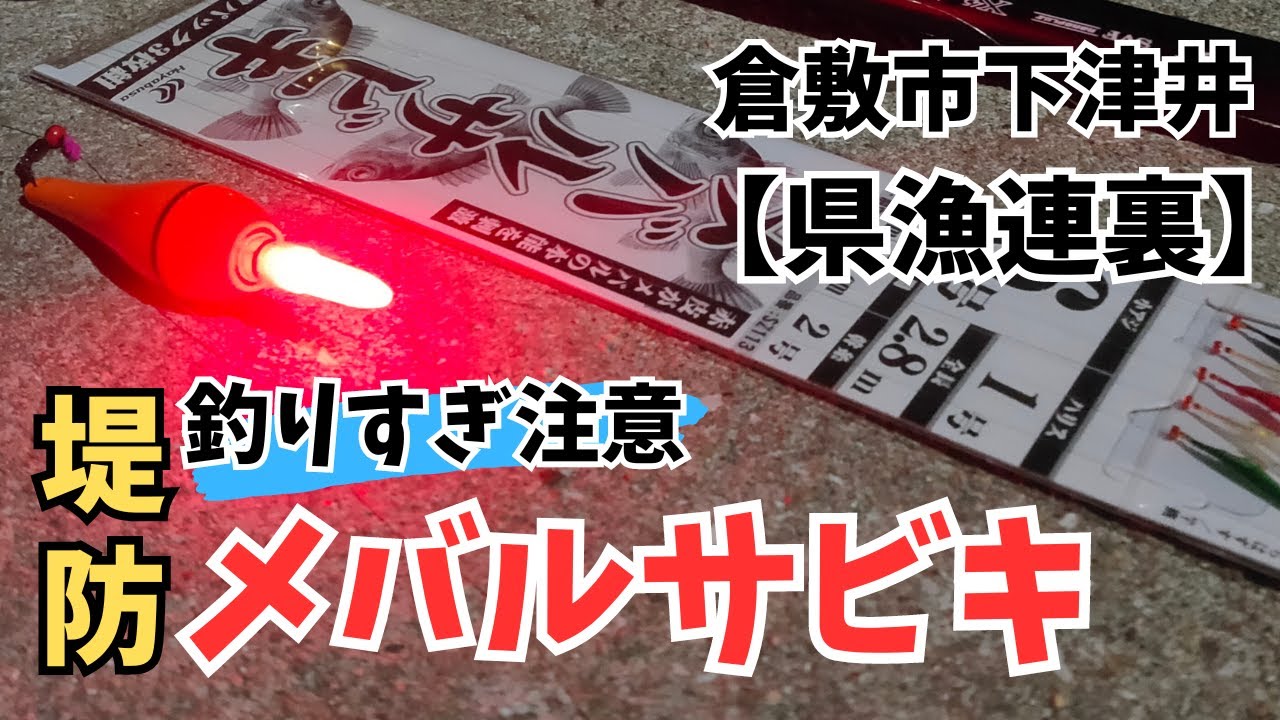 【倉敷市/県漁連裏】爆釣！堤防サビキメバルの恐るべき威力