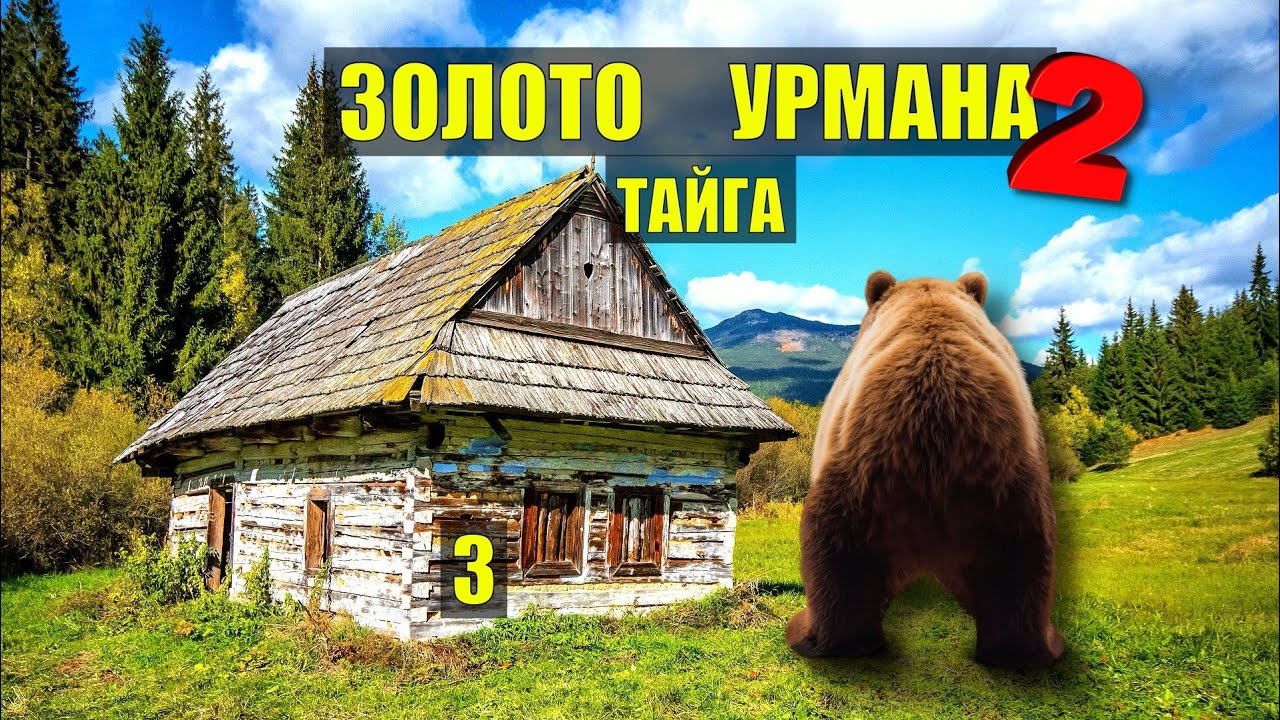 МЕДВЕДЬ в БЕРЛОГЕ СЛУЧАЙ в ТАЙГЕ ДОМ в ЛЕСУ ЗОЛОТО УРМАНА 2 ТАЙГА ИСТОРИИ из ЖИЗНИ АУДИОКНИГА 3