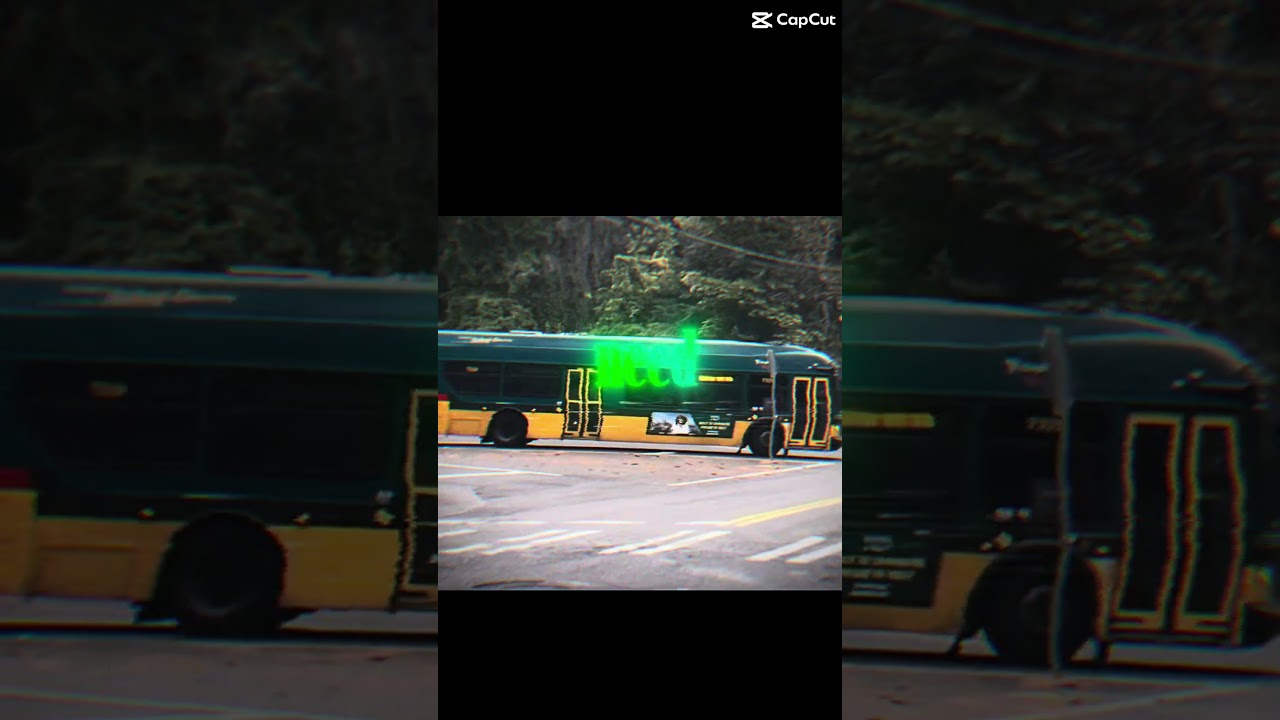 67 bus pics #newflyerxcelsior #newflyerxd40 #icreschoolbus
