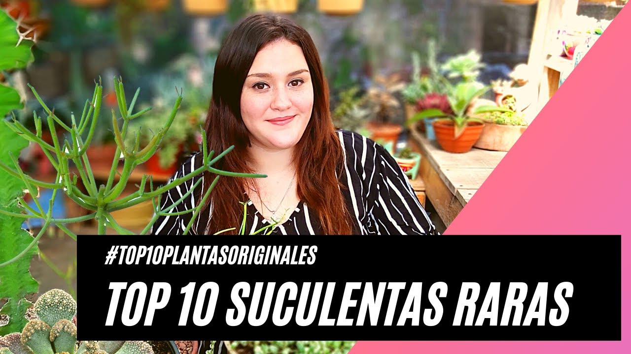 10 Suculentas Raras #Top10PlantasOriginales