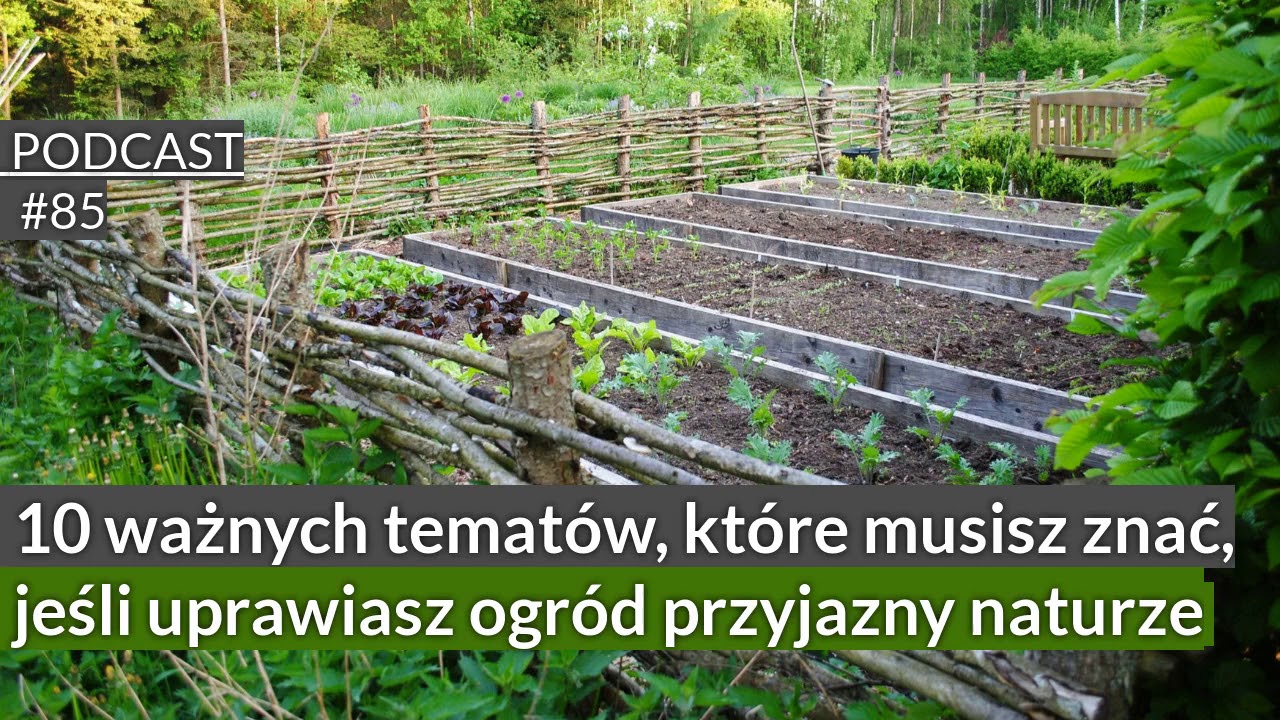 NoO 85:  10 ważnych tematów, które musisz znać, jeśli uprawiasz ogród przyjazny naturze