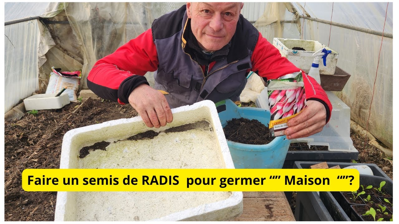 Comment faire un semis de Radis 