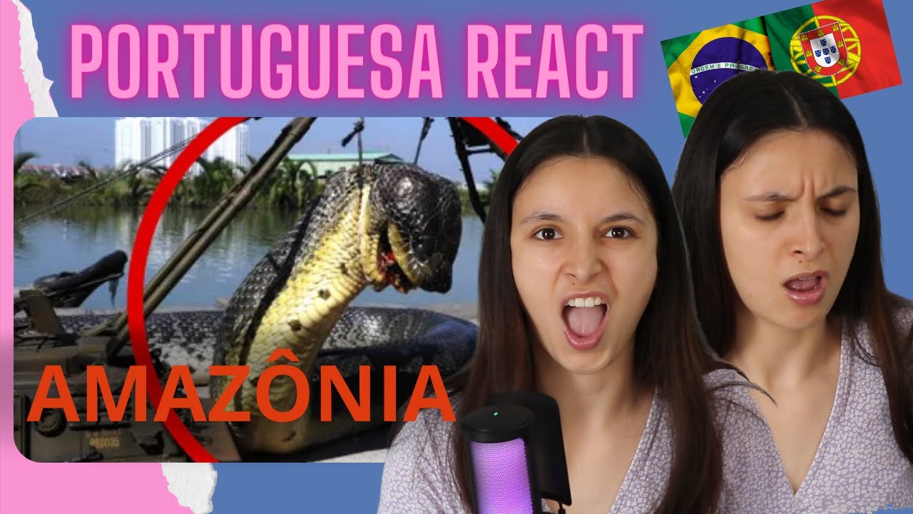 Reagindo a animais mortais Amazônia @Você Sabia?