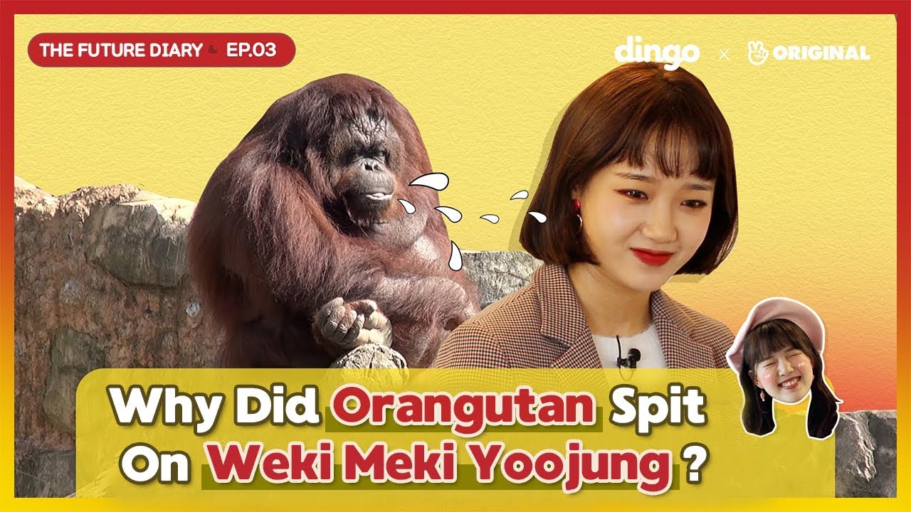 All About Yerin & Yoojung's Friendship  [The Future Diary_EP.03] • ENG SUB • dingo kdrama