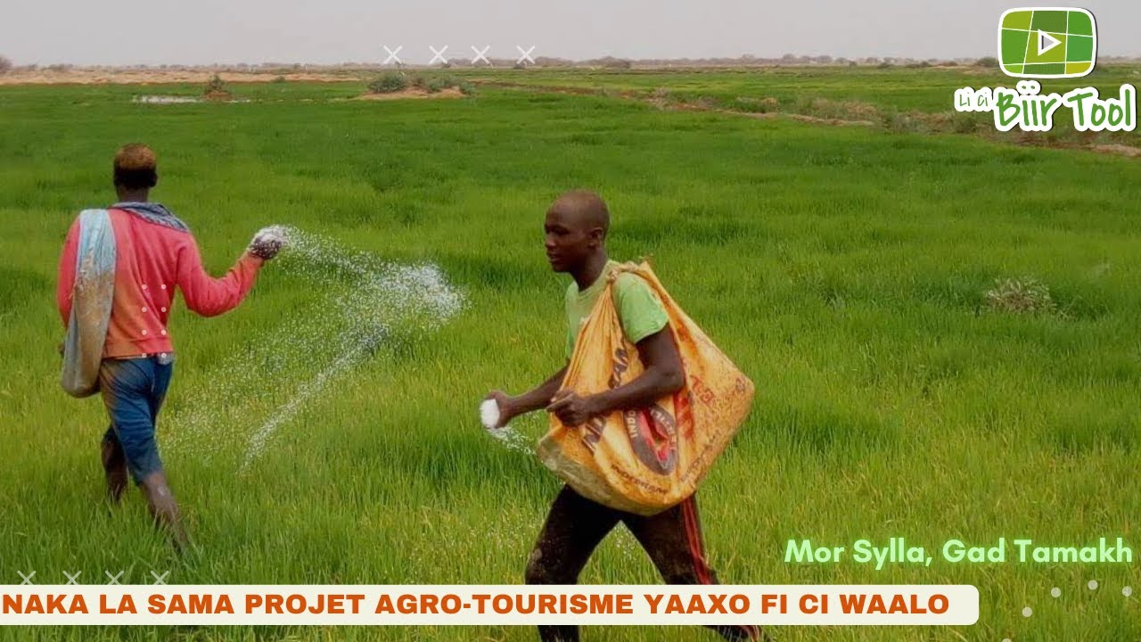 Li ci biir tool / naka la sama projet agro-tourisme (90 hectares) yaaxo fi ci waalo ?
