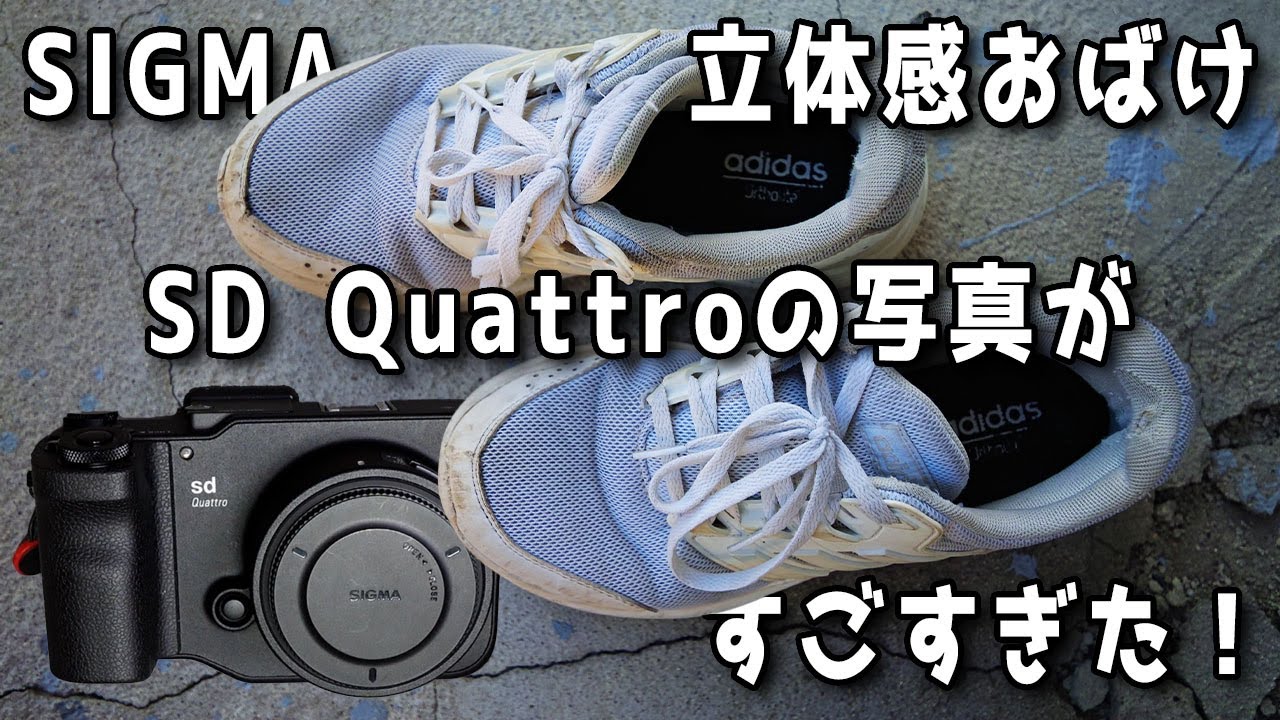 【緊急】SIGMA SD Quattroで撮影した写真がすごすぎた！まるで立体感のおばけ！Foveon恐るべし...【訂正レビュー】