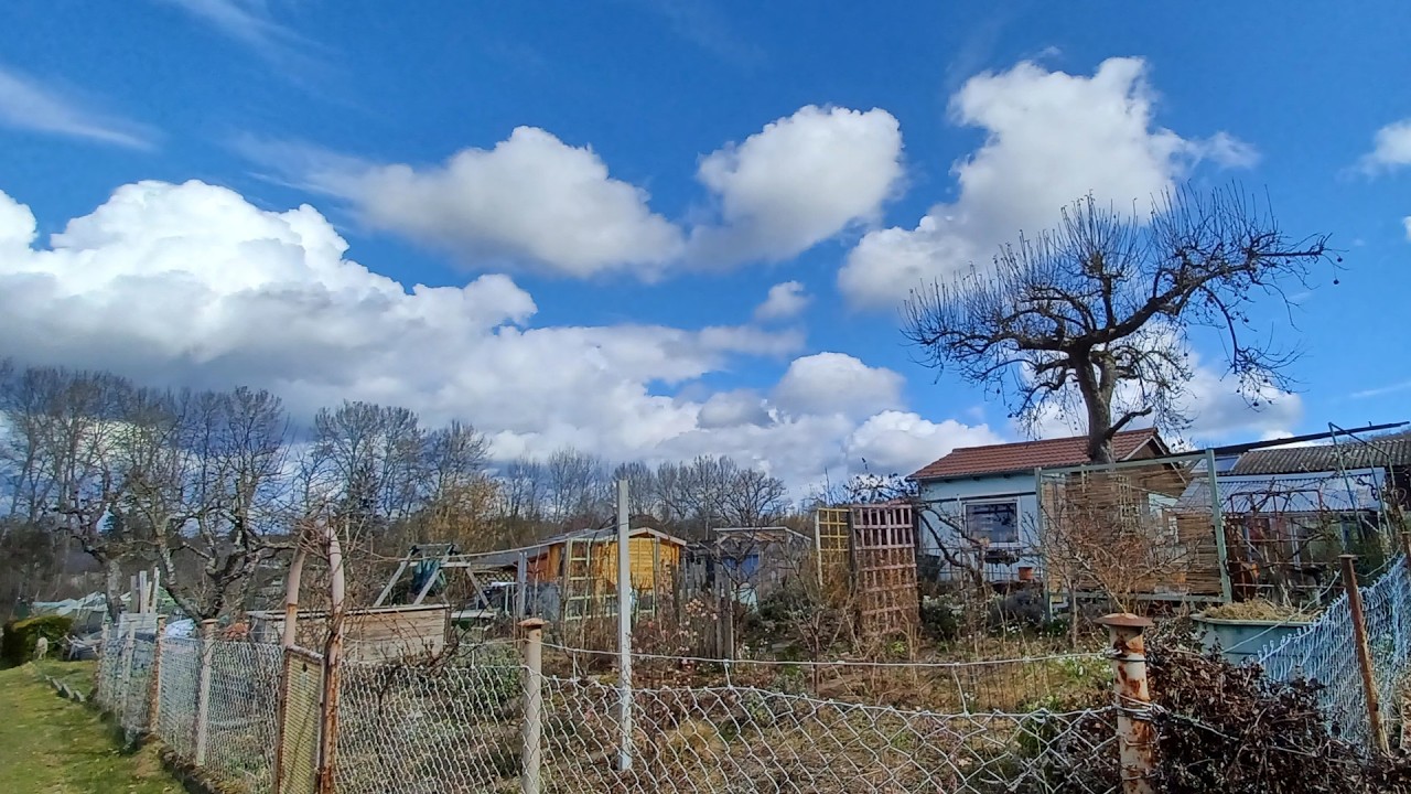 Was erwarte ich vom Garten?