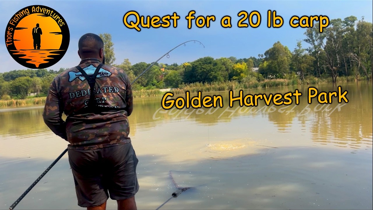 Carp Fishing South Africa  | Golden Harvest Park  | Quest for a 20 lb carp