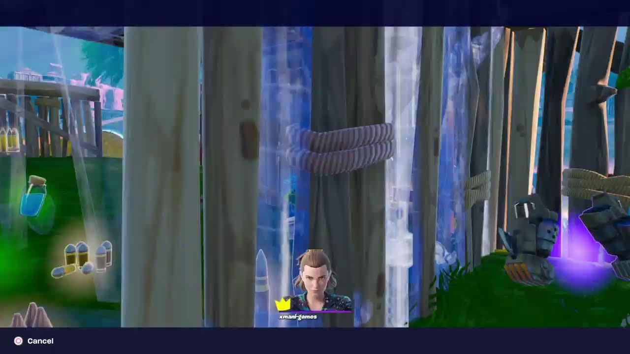 Fortnight solos