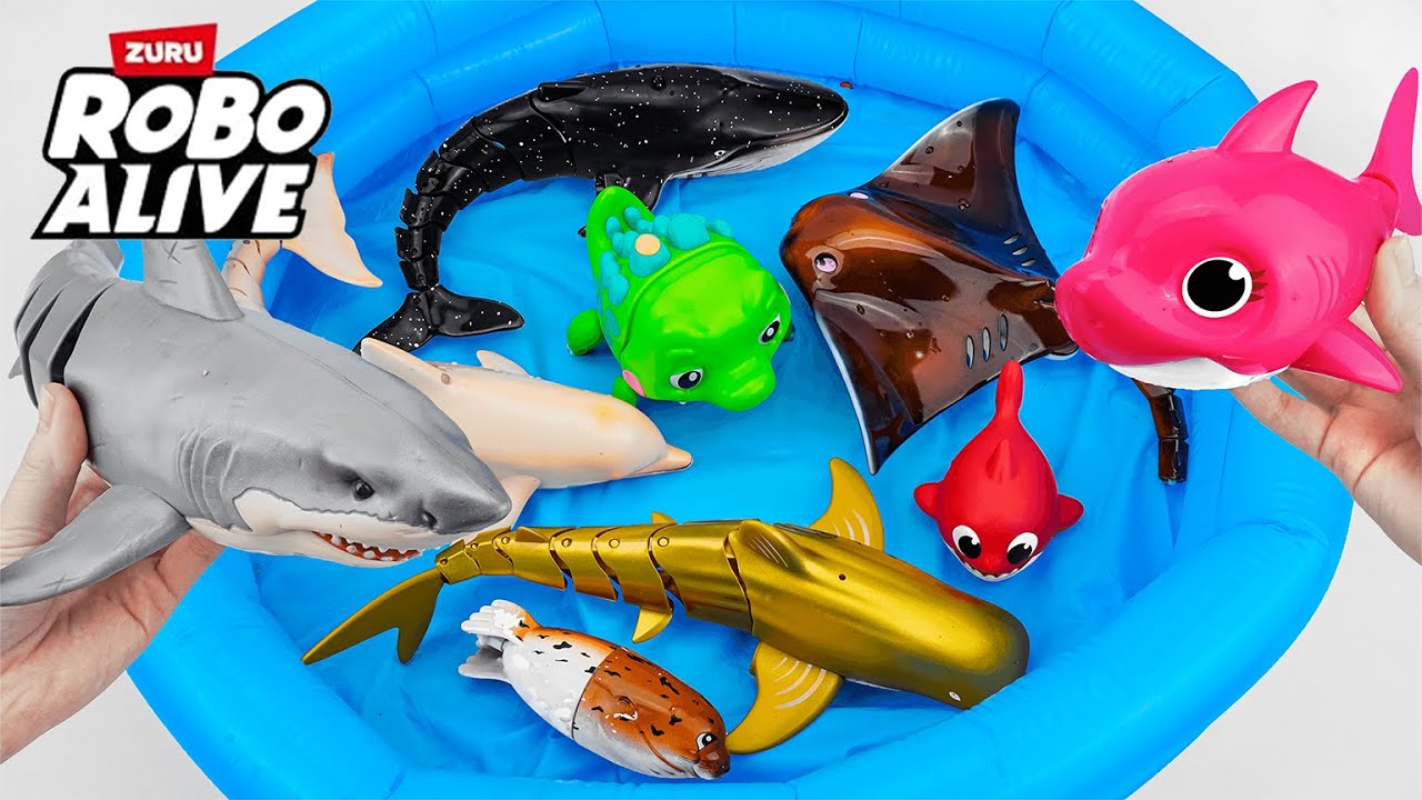 Satisfying With Unboxing Zuru Robo Alive Aquarium With White Shark ASMR🐊Review Toy (No Talking)