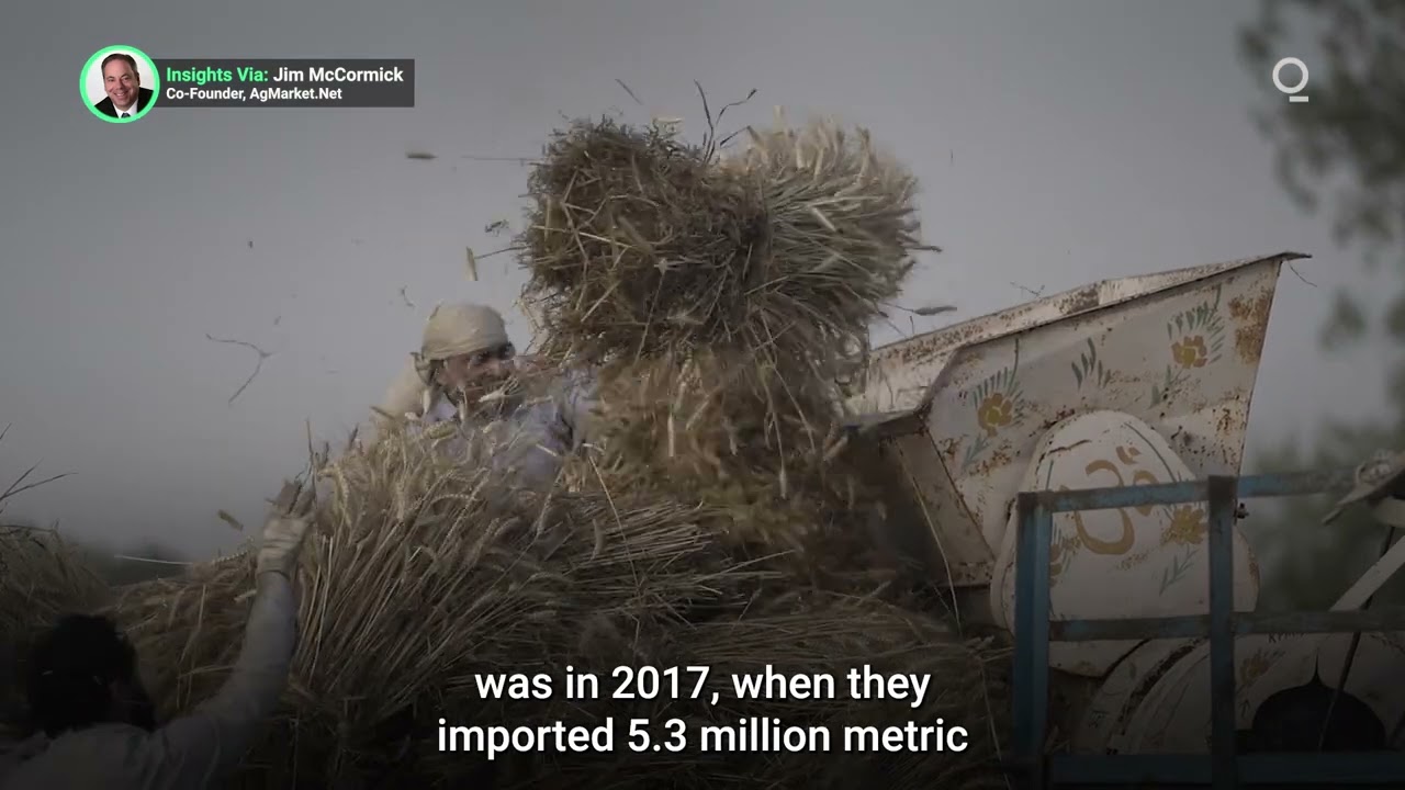 Tight Global Wheat Supply Could Mean Competition for Imports