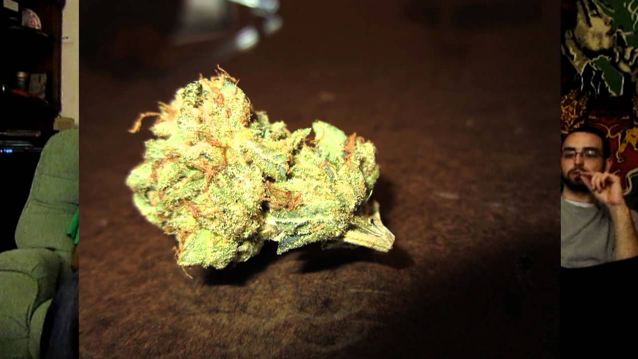The Higher Channel - Charlie Sheen Og - Blunt Review - IVTHC - TheHigherChannel