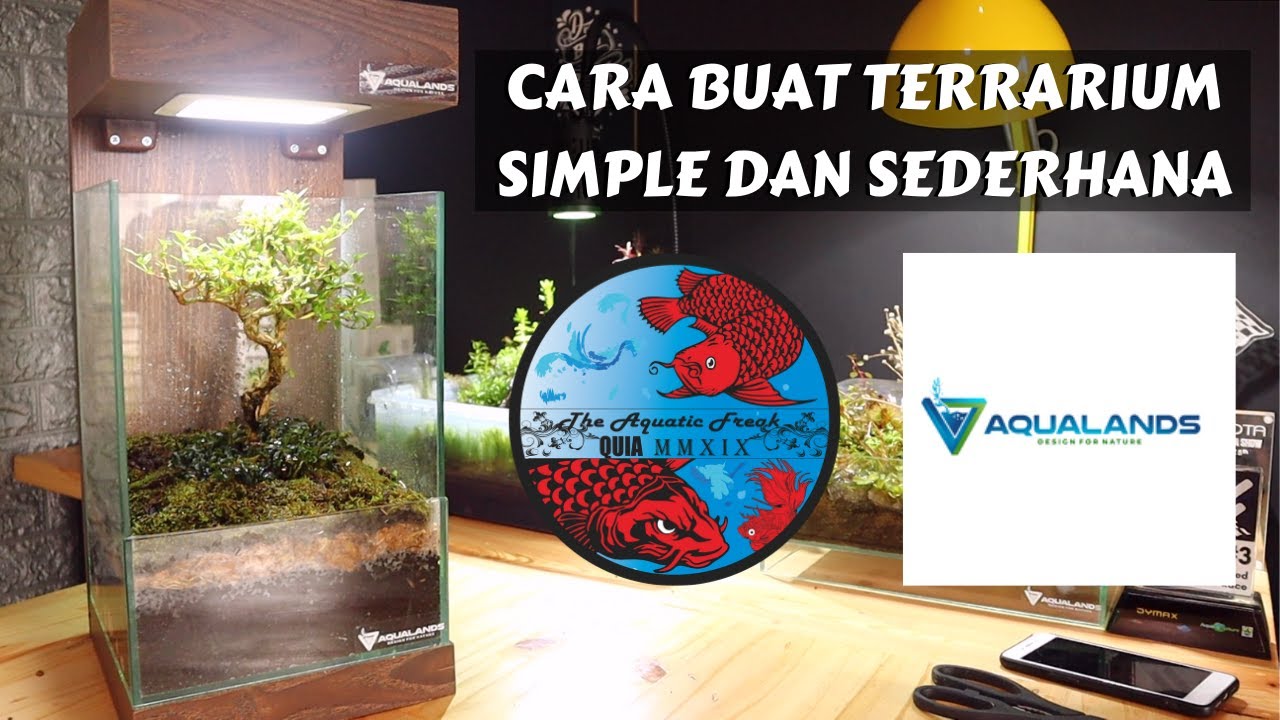 TERRARIUM BONSAI - CARA MEMBUAT TERRARIUM SIMPLE DAN SEDERHANA