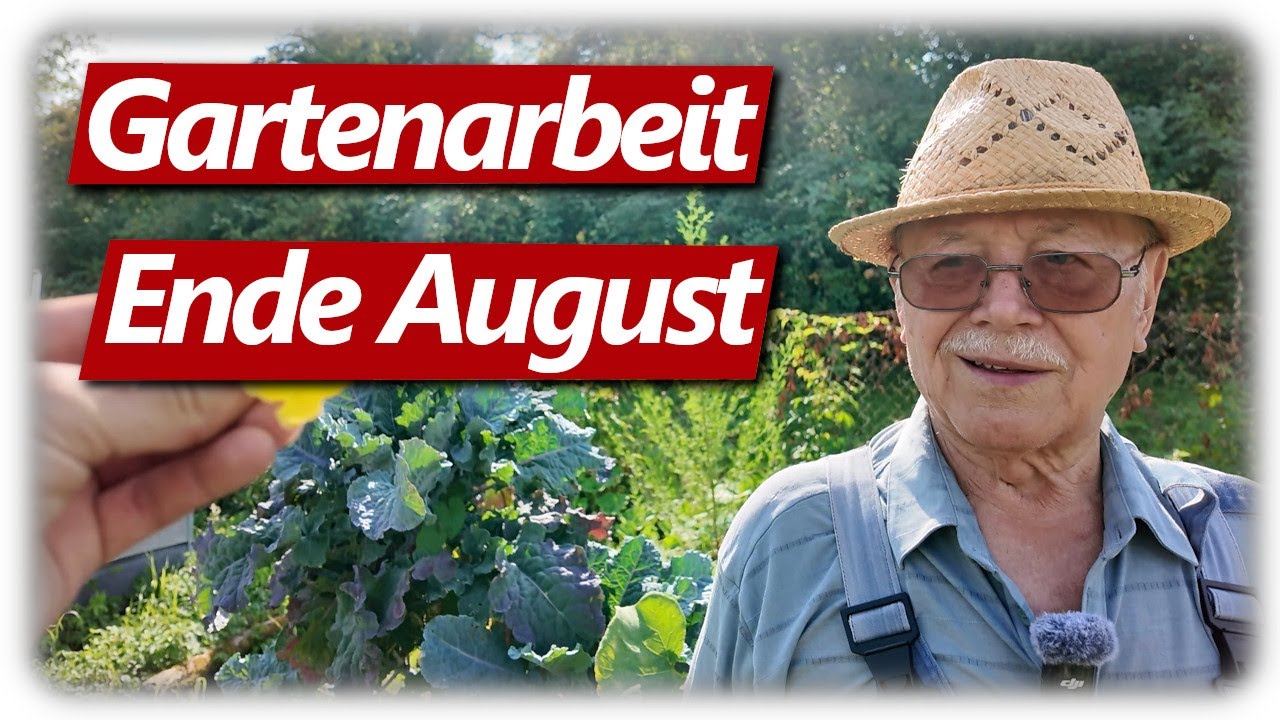Gartenarbeit August | Ernteglück mit Opa, Rigotti & Gysi besucht, Gemüsegarten mit Hochbeeten
