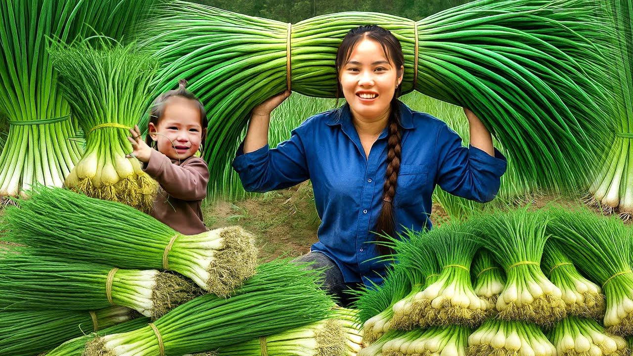 Harvest Giant Spring Onion to sell at the market with single mom
