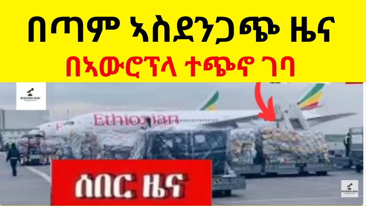 ሰበር ዜና በጣም ኣስደንጋጭ በኣውሮፕላ ተጭኖ ገባ