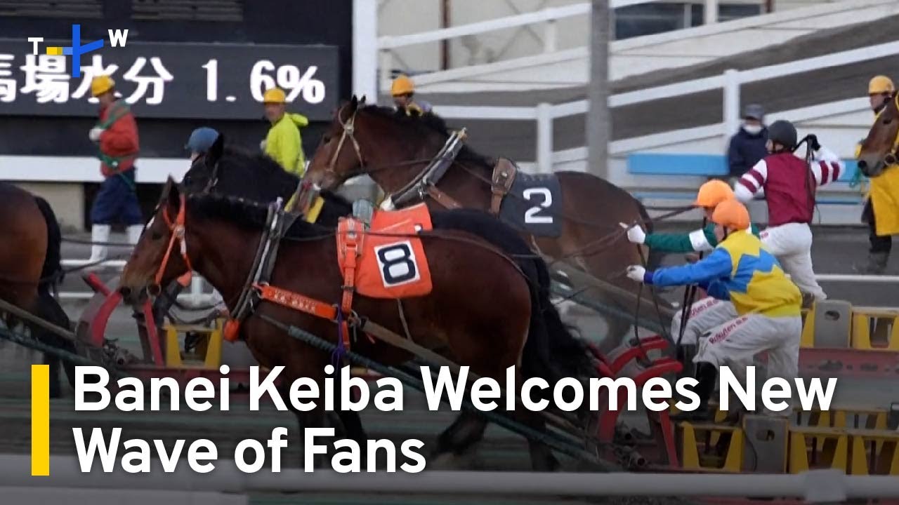 Japan's Slowest Horserace Banei Keiba Sees Renewed Popularity | TaiwanPlus News