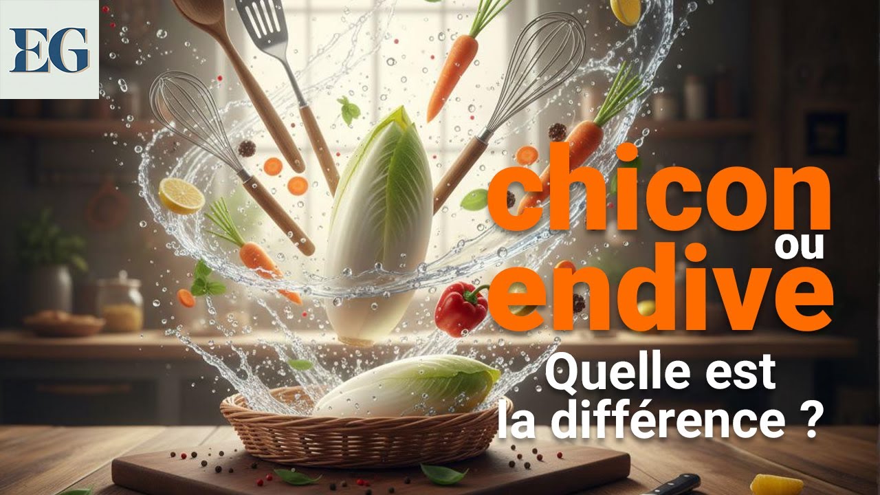 Chicon ou endive : pourquoi deux noms pour le m&ecirc;me l&eacute;gume ?