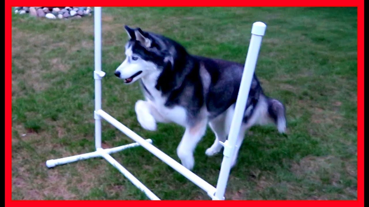LOOK WHAT OAKLEY CAN DO