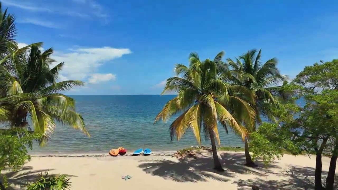 🌙✨ Welcome to Moonrise Beach &ndash; your private slice of paradise in Placencia!