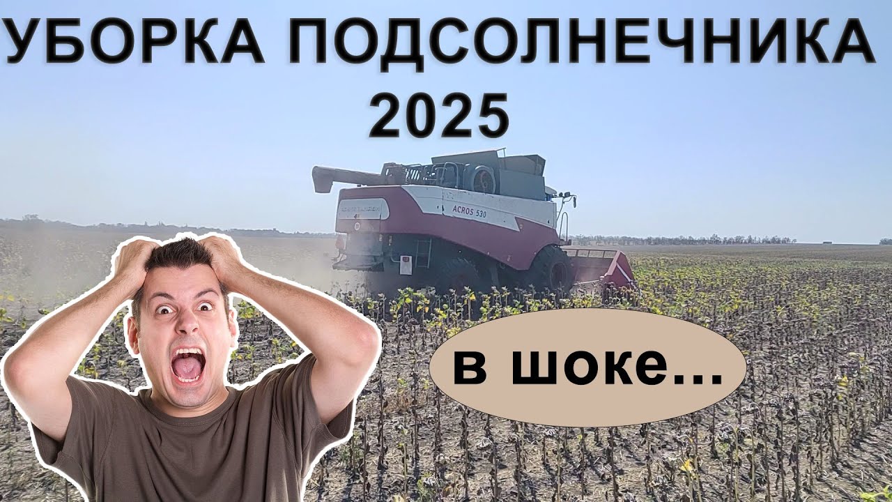 Уборка подсолнечника ЛГ 5555 | 18 августа 2025