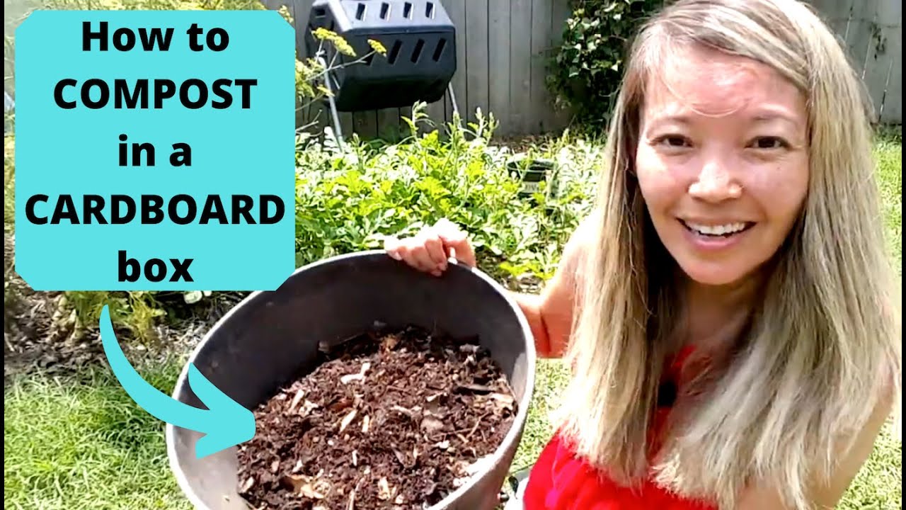 How to COMPOST in a CARDBOARD box (from START to FINISH)