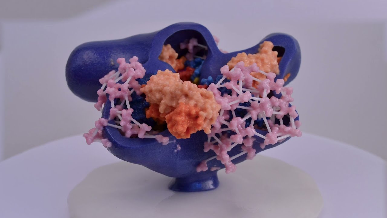 HIV Vaccine In Early Trials