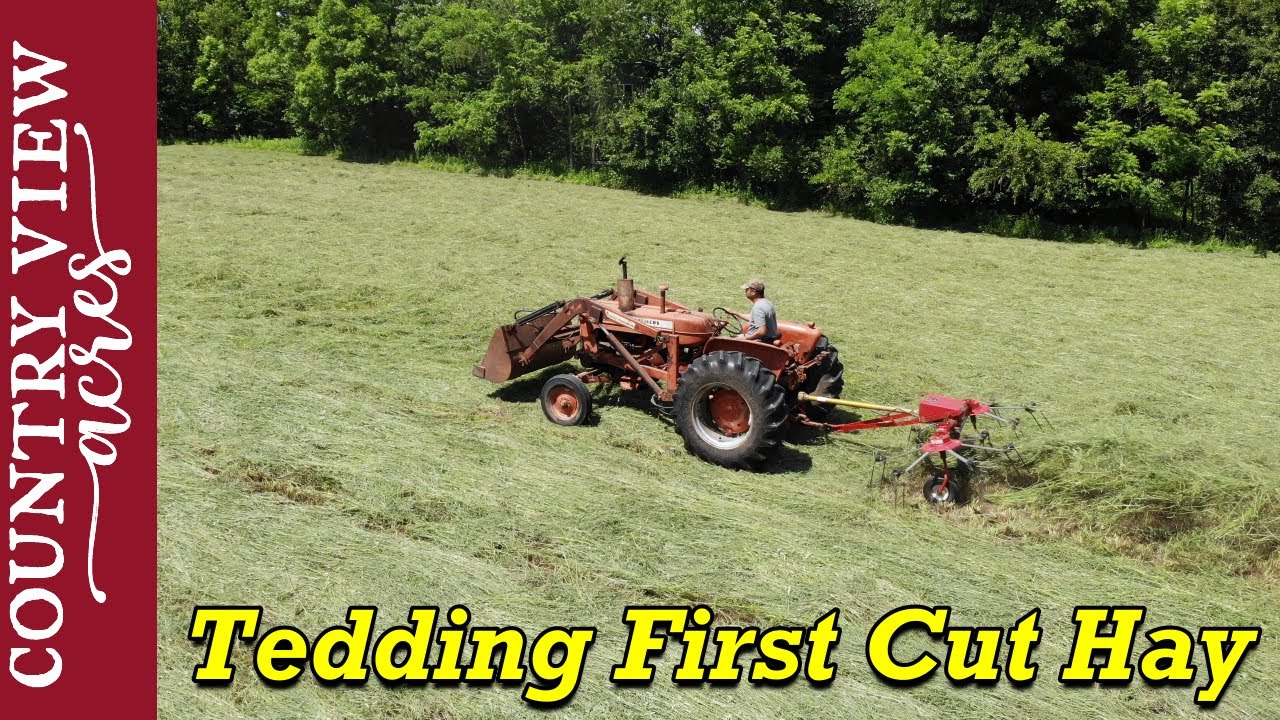 Tedding the Hay Field with the Allis Chalmers D17 Tractor