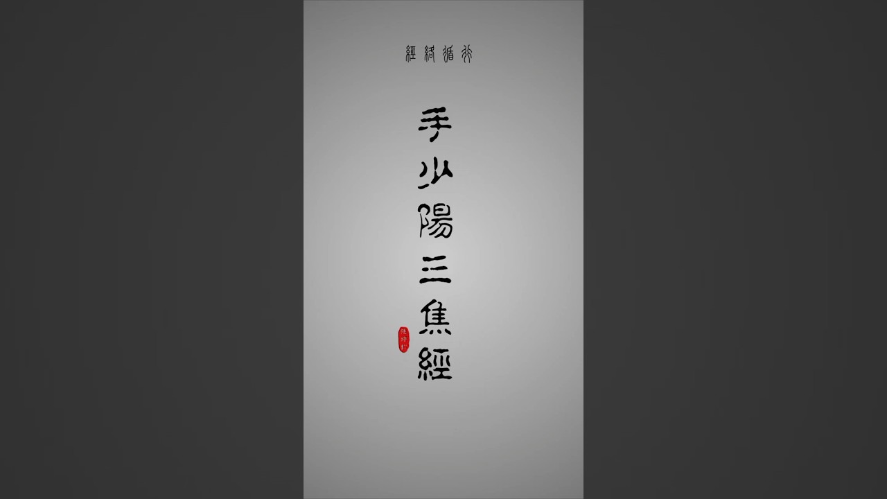 经络巡行[10] - 手少阳三焦经 #中医课堂 #经络 #经络巡行