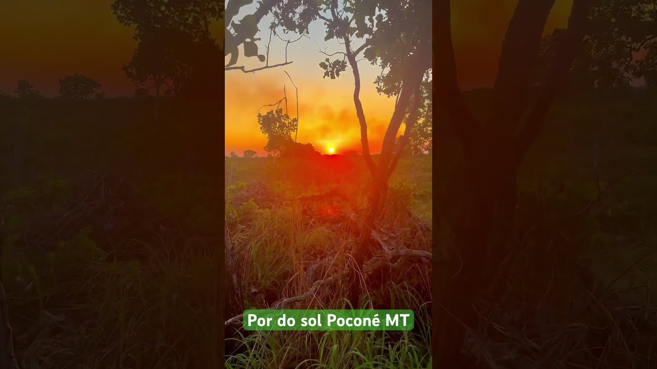 Por do sol em pocon&eacute; Mato Grosso #shorts