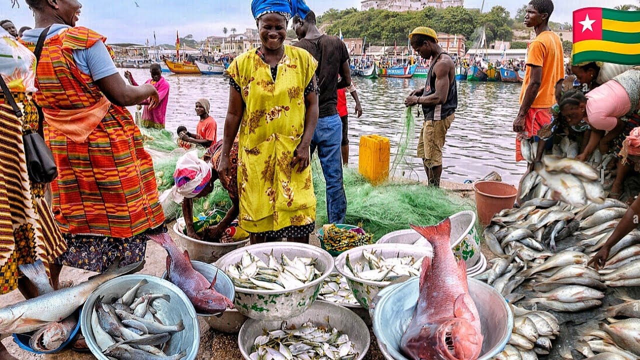 Biggest fishing harbor in Togo west Africa. Shop and cook with me.