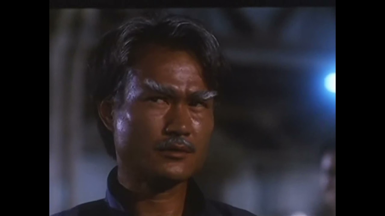 el principe del sol espa&ntilde;ol   Cynthia Rothrock