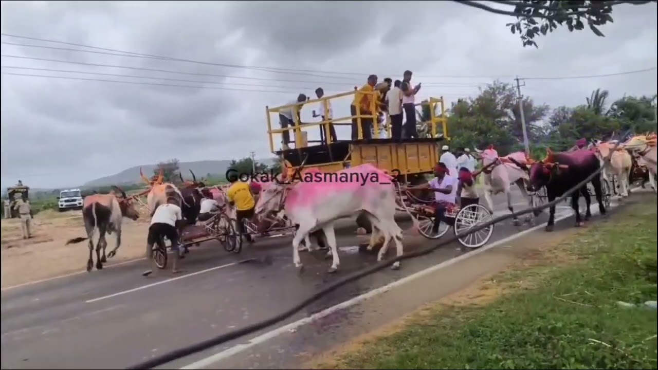 💥ಗೋಕಾಕ ಪಬ್ಲಿಕ ಮೈದಾನ ಜೋಡ ಎತ್ತಿನ ಗಾಡಿ 🚀|| ಜನರಲ ಮೈದಾನ ₹5,00,000/- || 🔥🔝 ಮೈದಾನ 😱💥