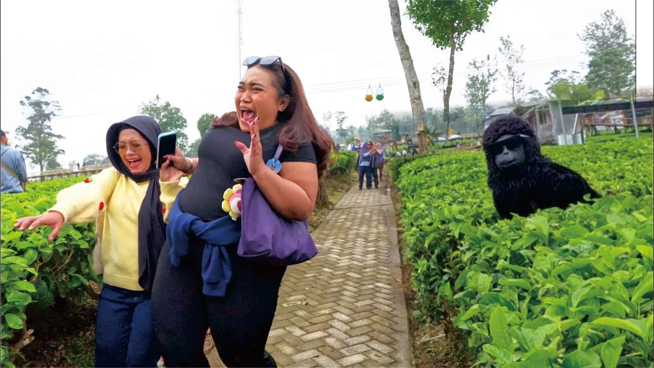 Monkey prank LOL.. #funny #happy #entertainment