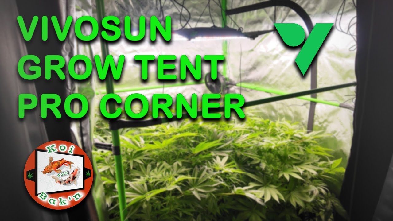Vivosun Grow Tent Pro | Quick Update