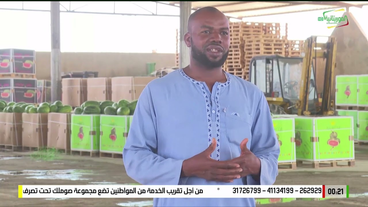 الصائمون في الأعماق من مزارع الدلاح في شمامه