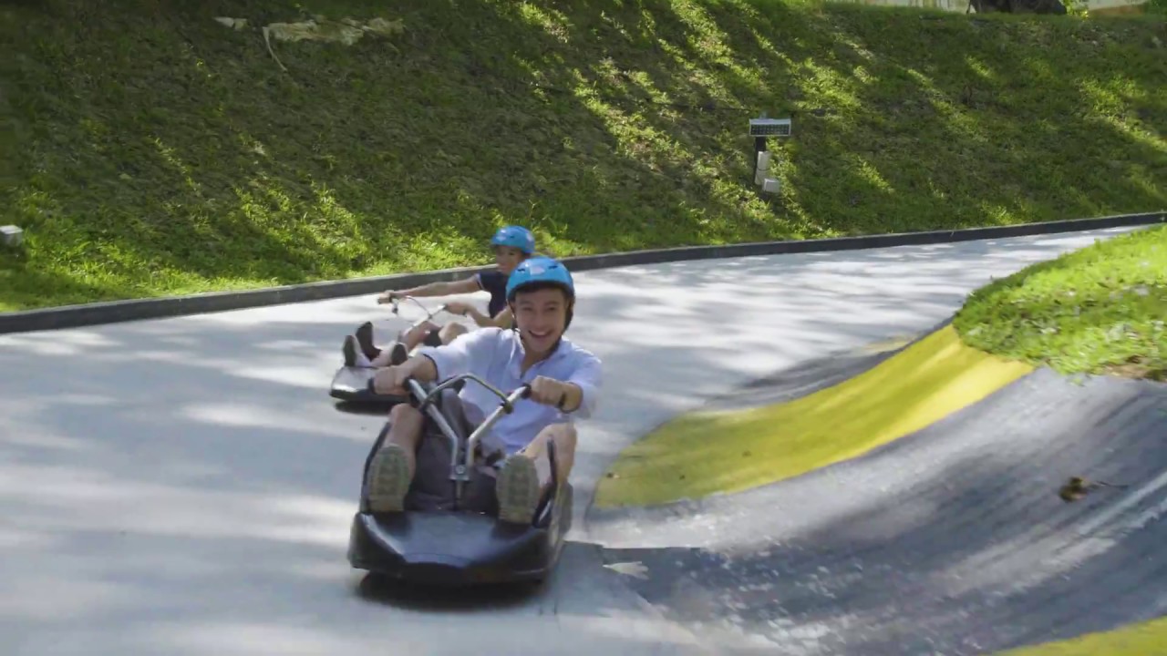 Skyline Luge Singapore | 4 Thrilling Luge Tracks