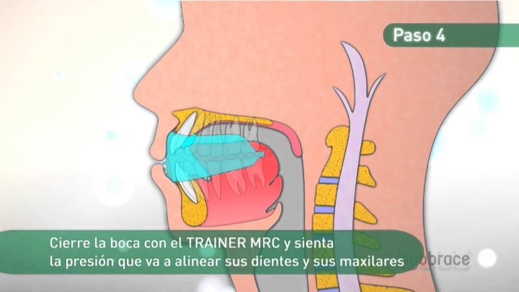 Trainer Instructions (español)