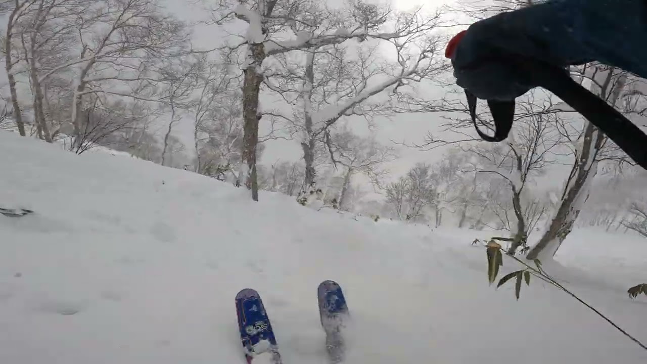 202601 12 Day 20 - Japow Sking At Niseko Moiwa, Japan
