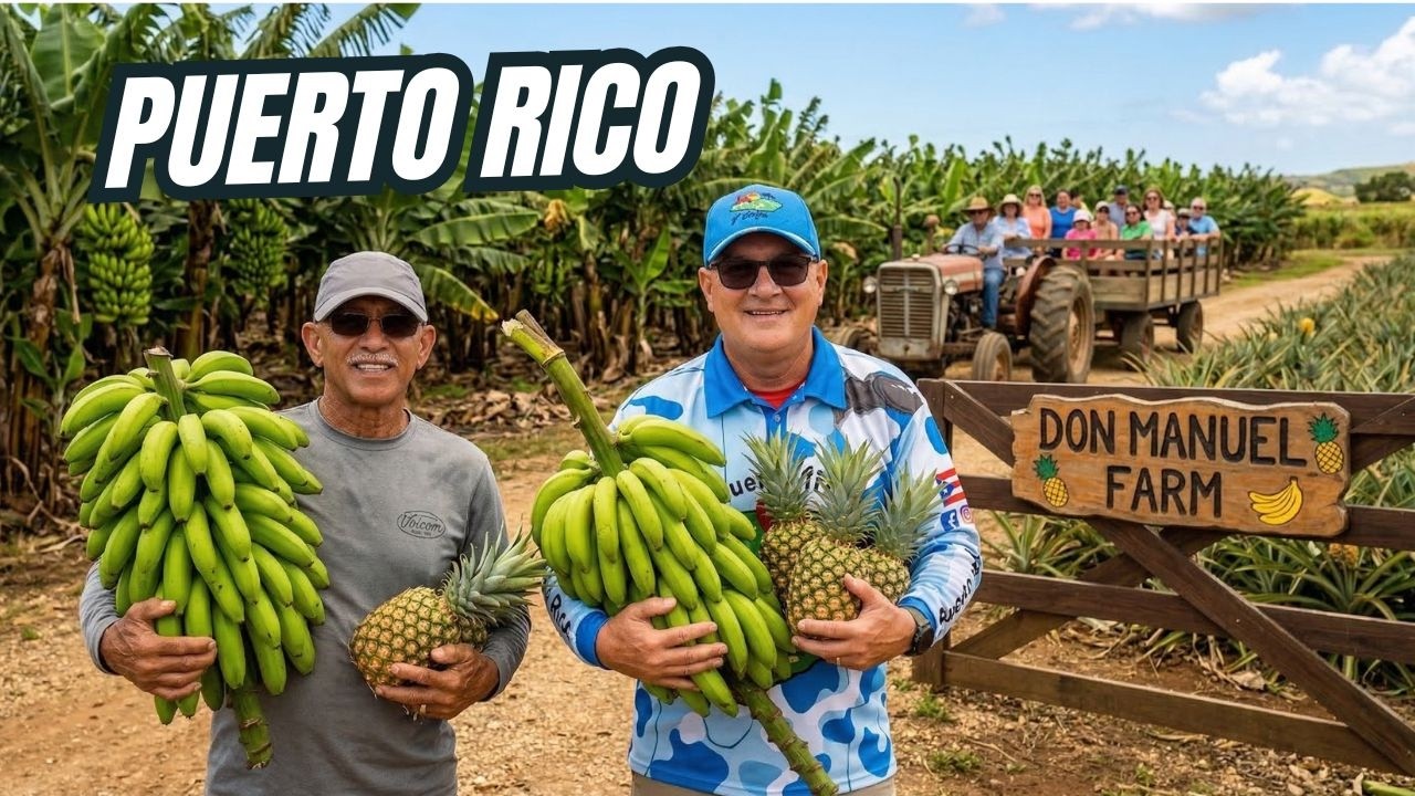 Visité una Finca para Turistas en Puerto Rico