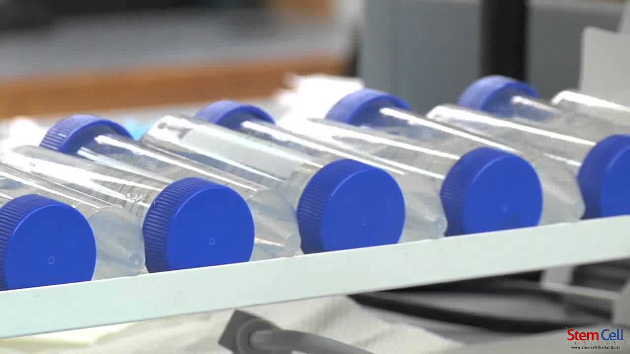 The Powers of Dental Pulp Derived Stem Cells DPSC Overview and Technology