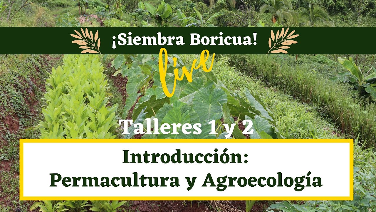 Permacultura y Agroecología - ¡Siembra Boricua! Live - Taller 1 y 2