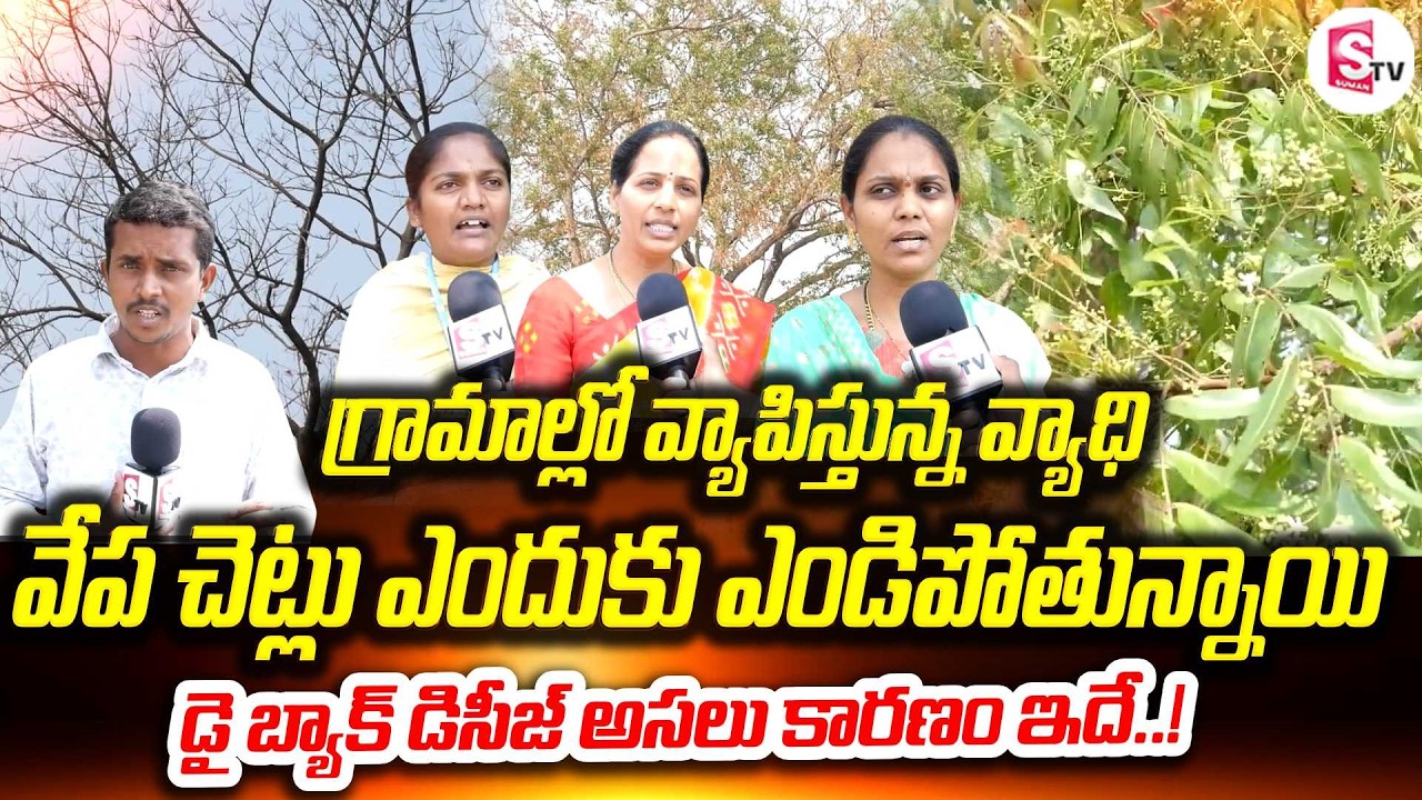 వేప చెట్టు ఎండిపోవడానికి కారణం ఇదే | Shocking Reason Behind Neem Tree Drying | Experts Reveal Reason