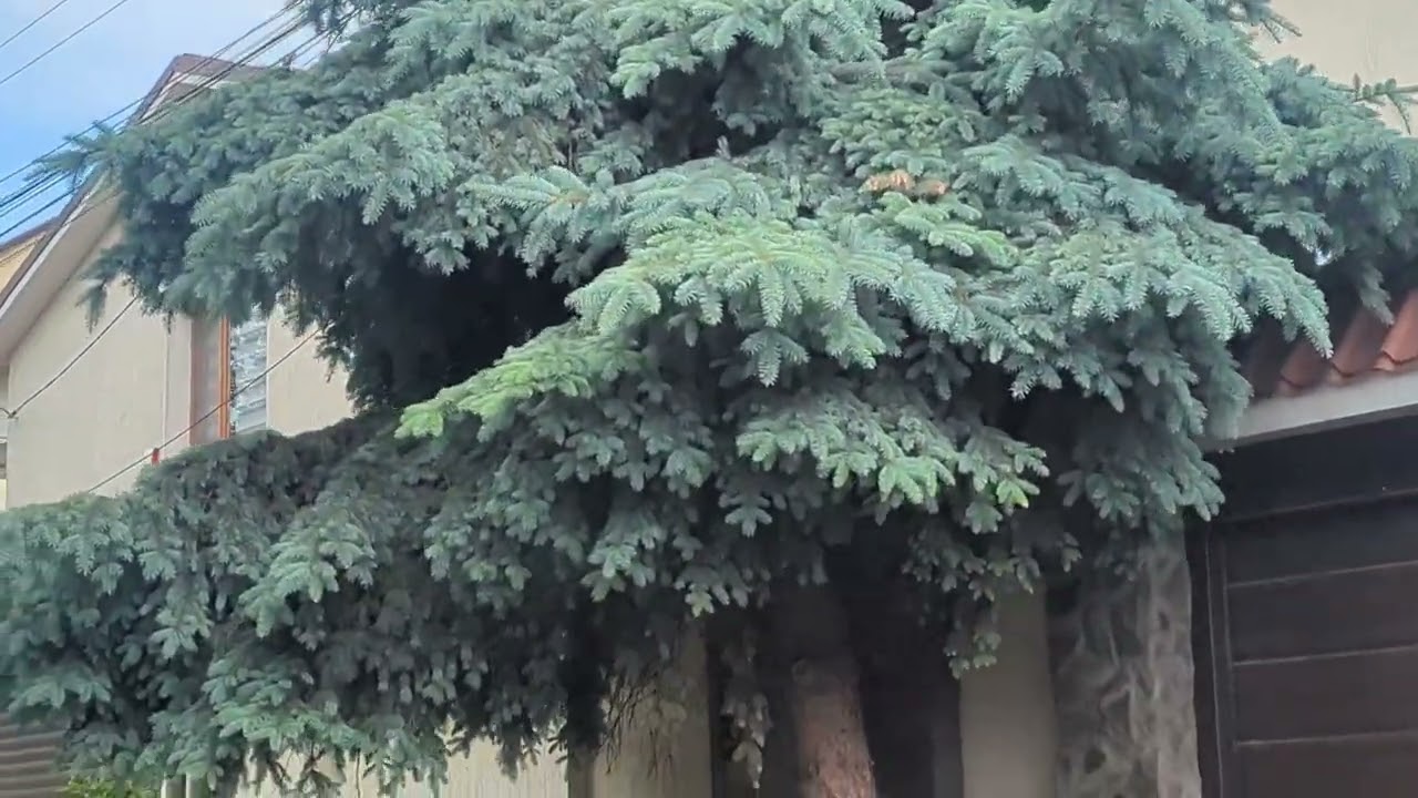 Где мы живем в Одессе,  прошлись по нашему кварталу.