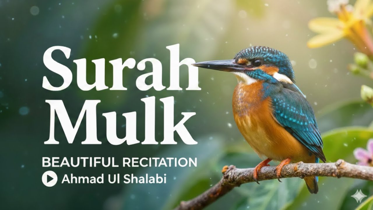 Surah Mulk | A Night of Peace and Reflection that calm your heart with soul